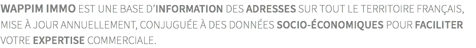 wappim immo est une base d’information des adresses sur tout le territoire français,  mise à jour annuellement, conjuguée à des données socio-économiques pour faciliter  votre expertise commerciale.